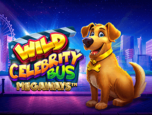Wild Celebrity Bus Megaways screenshot
